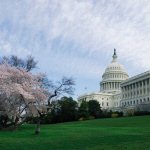 The White House